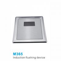 M365