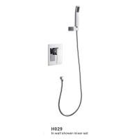 H029