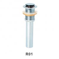 R01